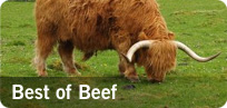 Best of Beef